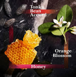 JOOP! HOMME 6 x 150ml Showergel Duschgel Shower Gel